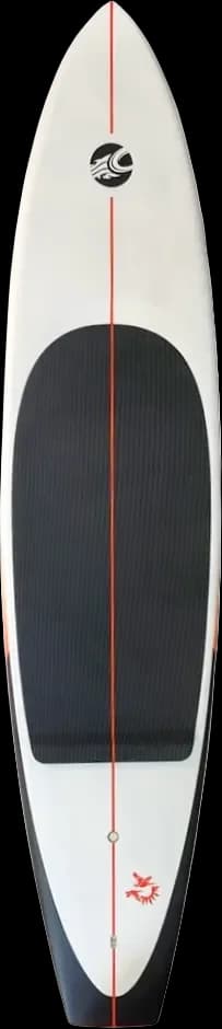 PARAWING / DOWNWIND / WINGFOIL