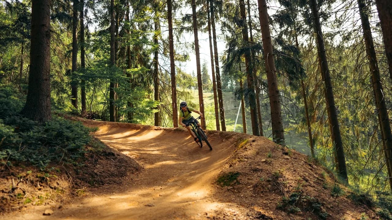 Bike Park Postăvaru