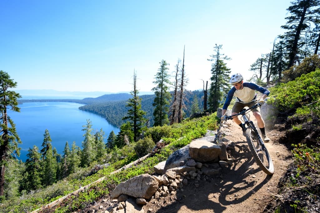 Mountain Bike Trail Background